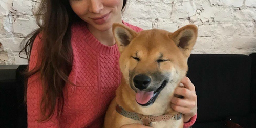 Blog Petsitters